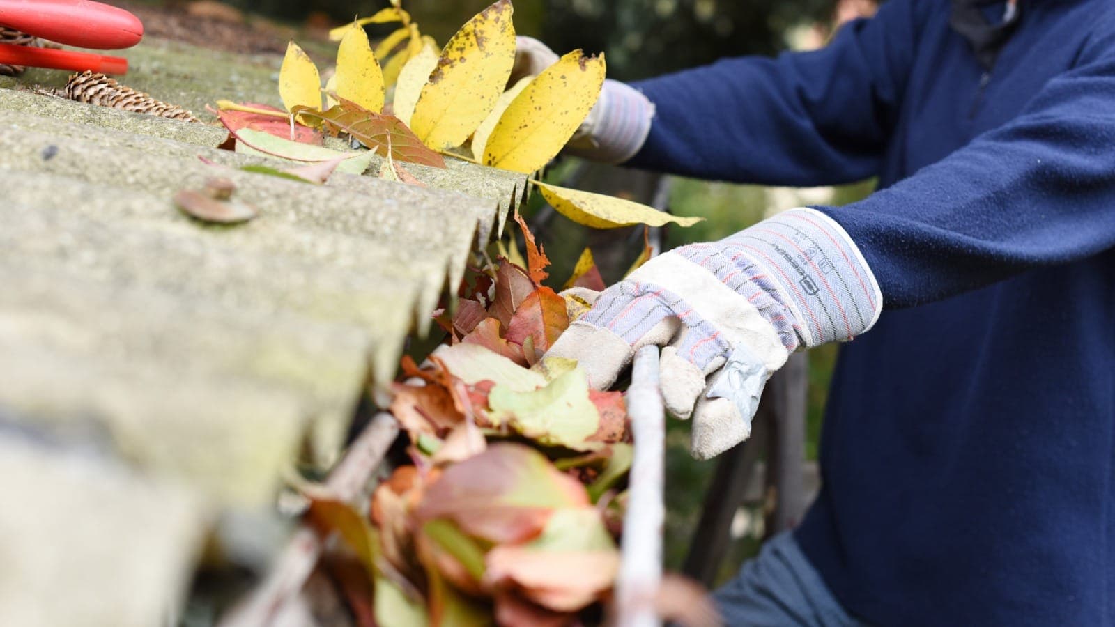 Hands clearing leaves from a residential gutter at roof height