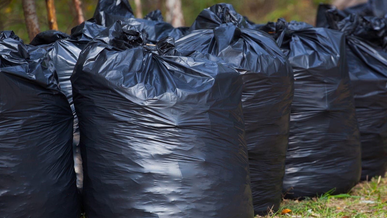 Black rubbish bags lined up ready for collection on a property