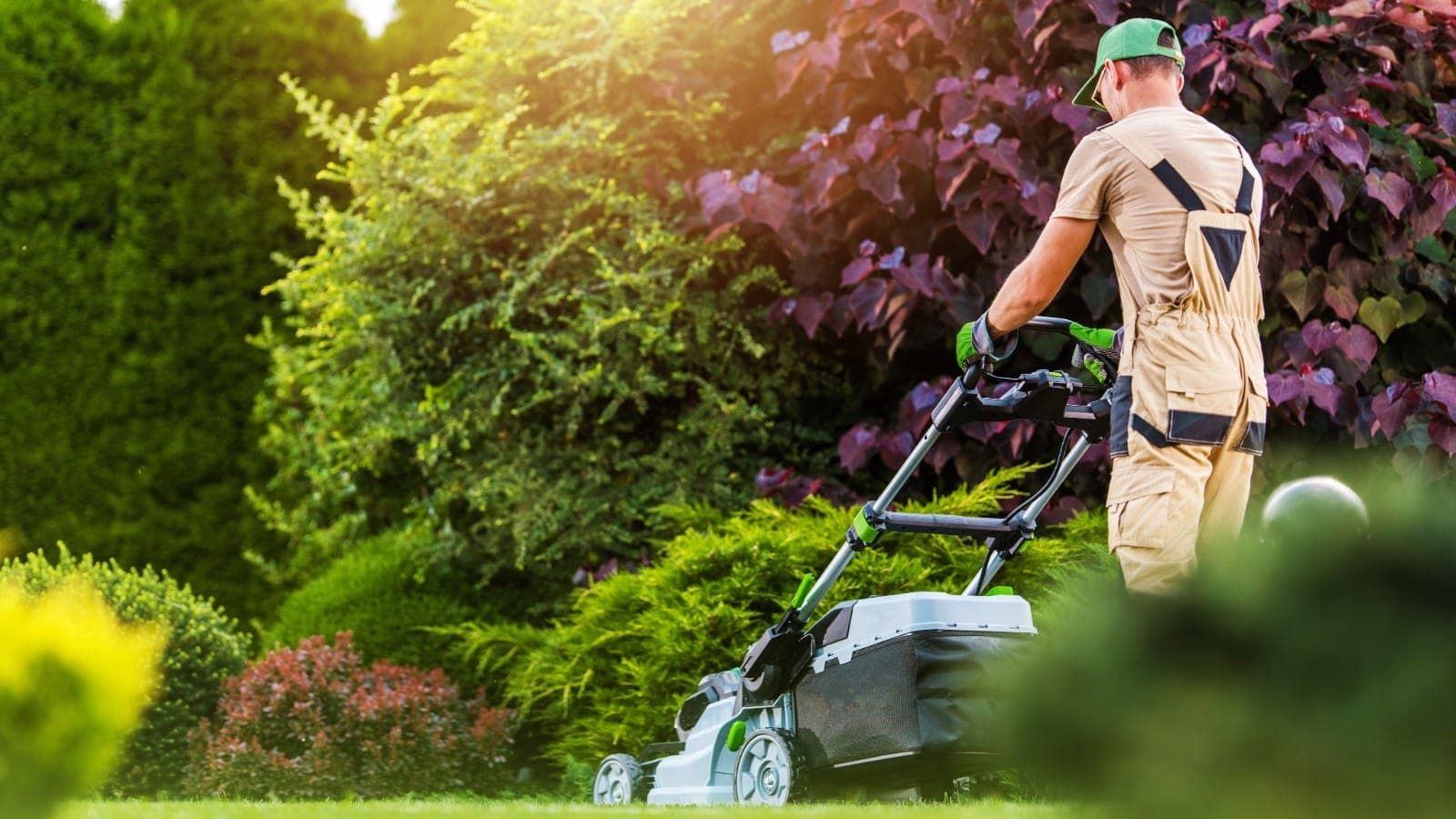 Operator using a ride-on mower on a Kiwi suburban lawn