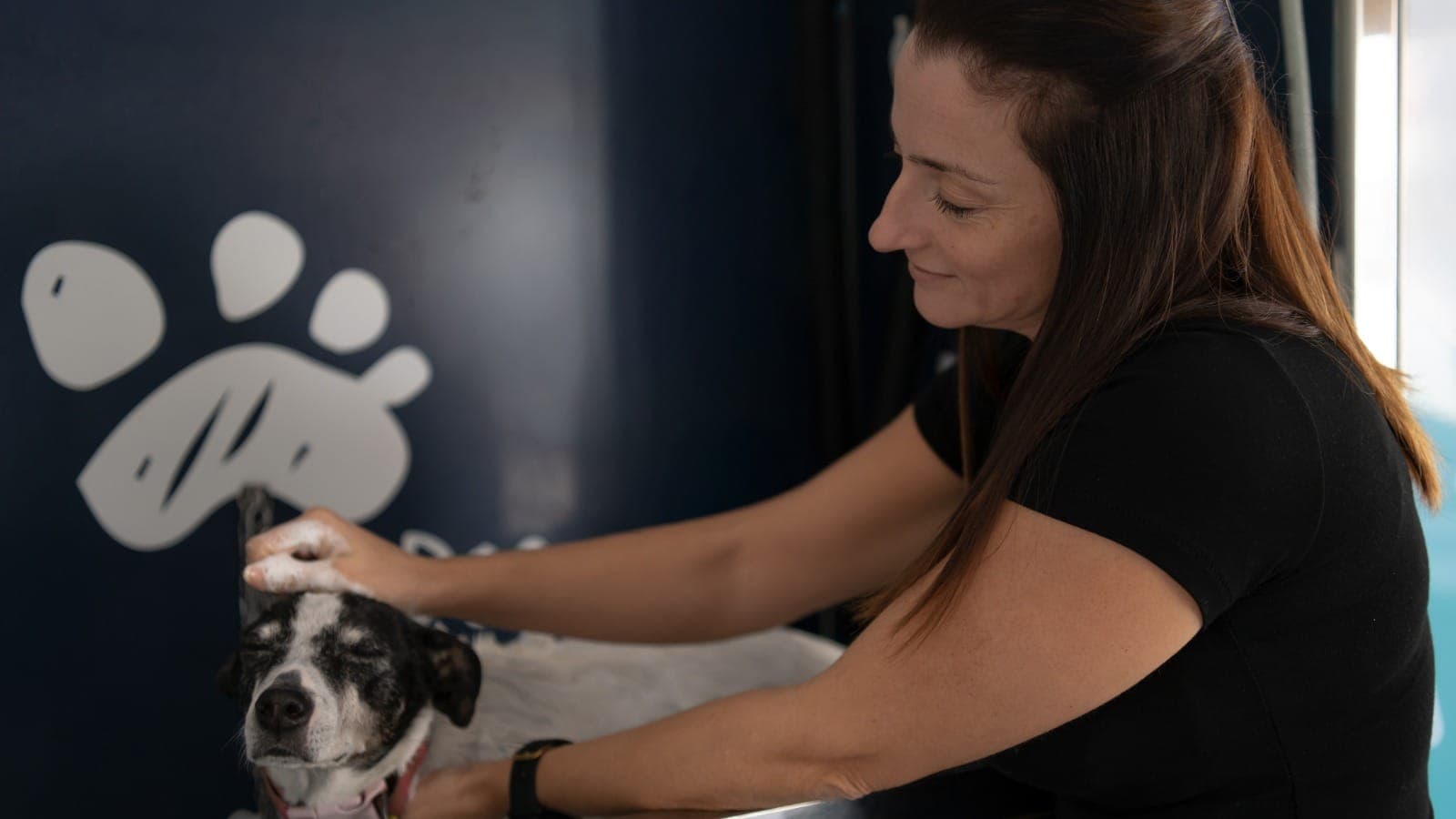 Mobile dog groomer bathing a small dog in a grooming salon