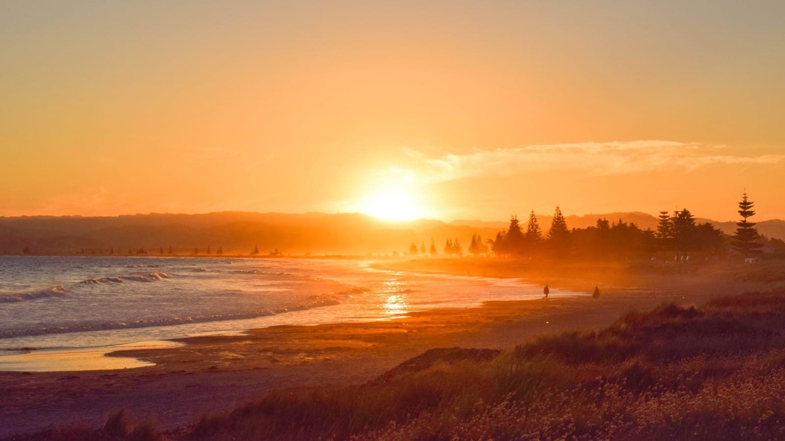 Gisborne cityscape, Gisborne Region, New Zealand