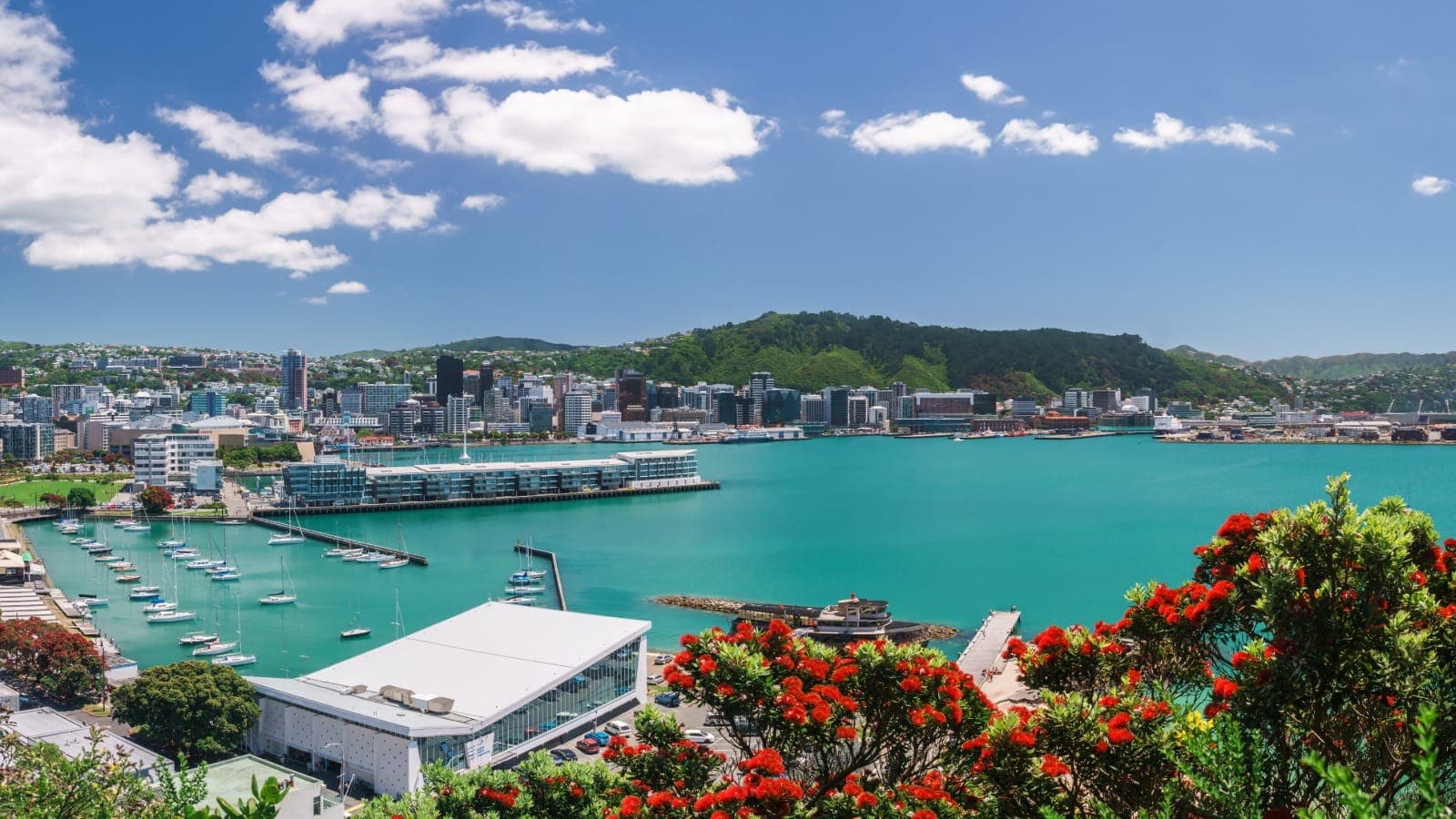 Wellington cityscape, Wellington Region, New Zealand