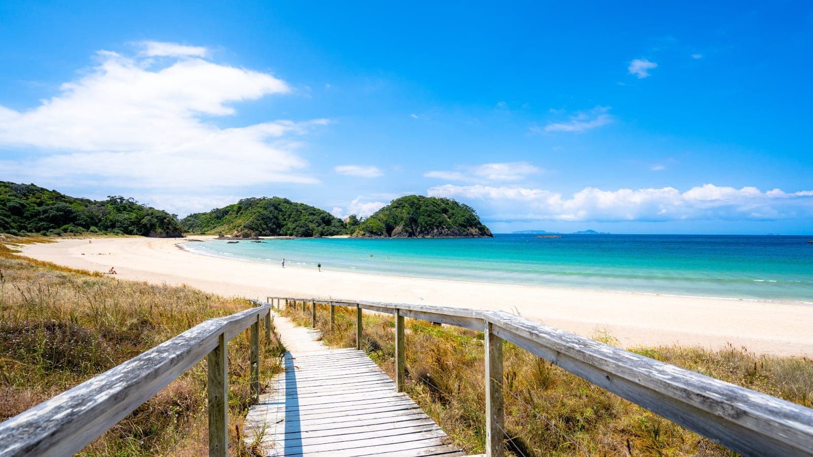 Whangārei cityscape, Northland, New Zealand